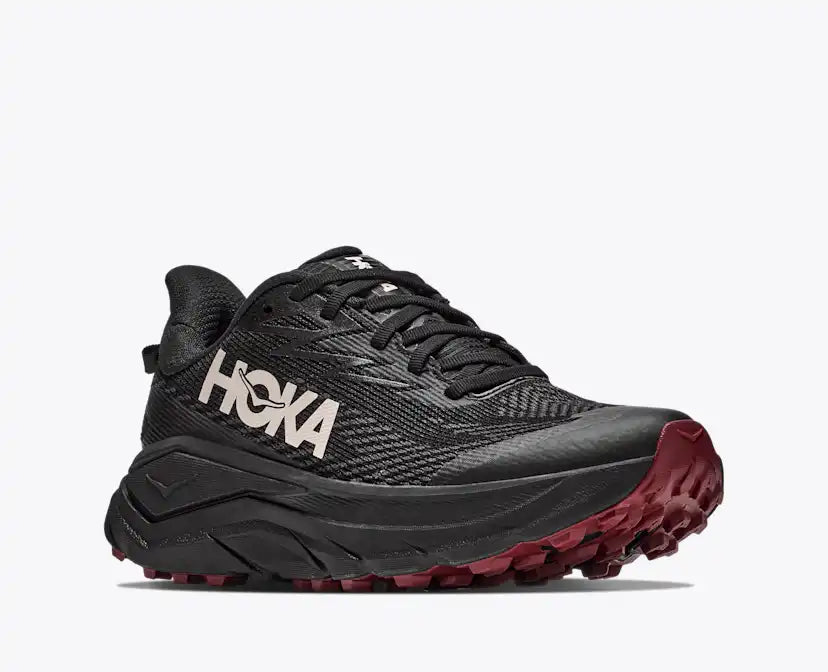 Challenger 8 GORE-TEX coloris Black / Varsity Burgundy, vue 6